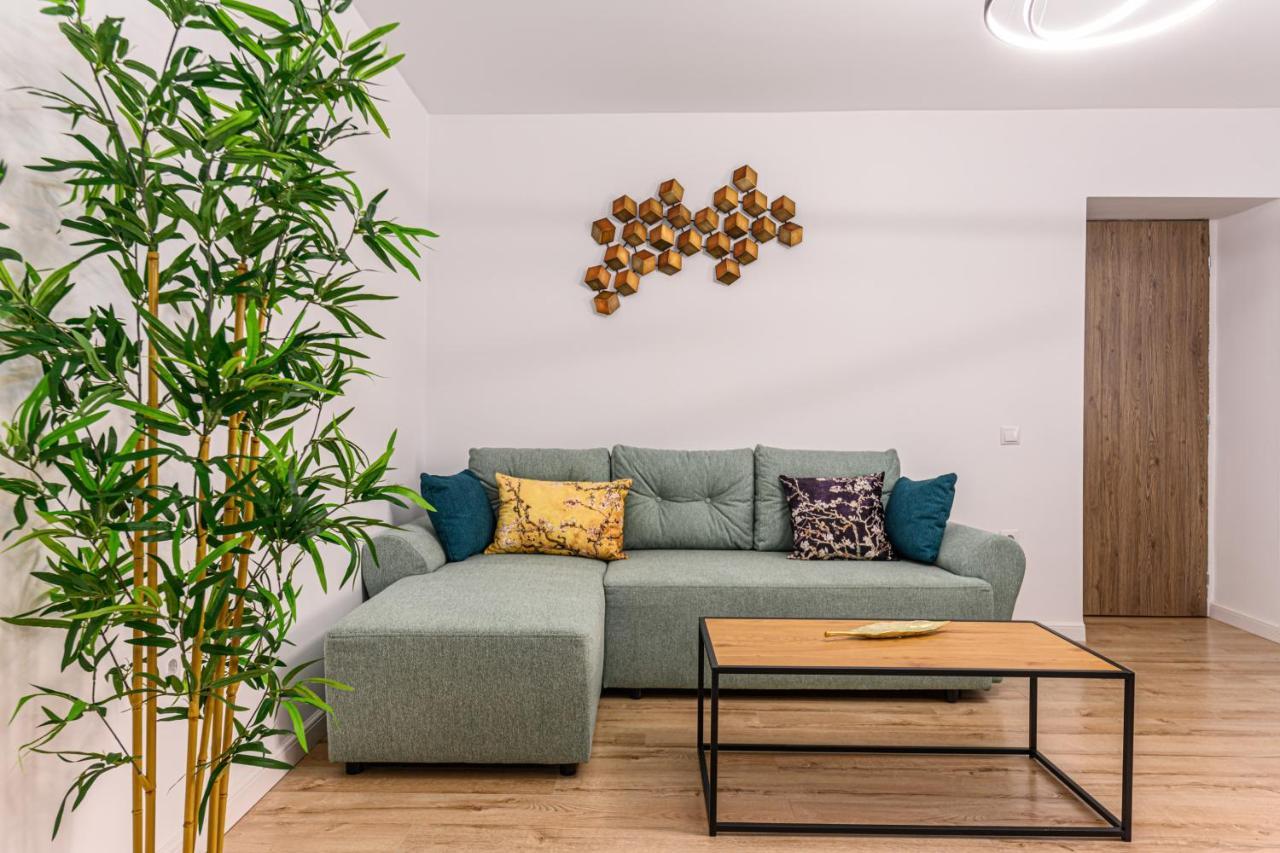 Schei Gate Apartment Brasov Luaran gambar