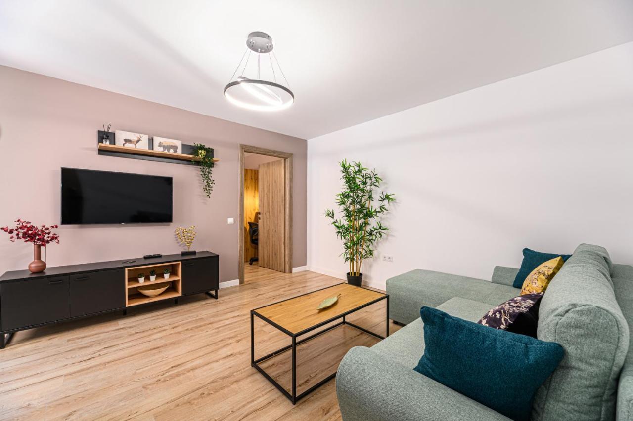 Schei Gate Apartment Brasov Luaran gambar